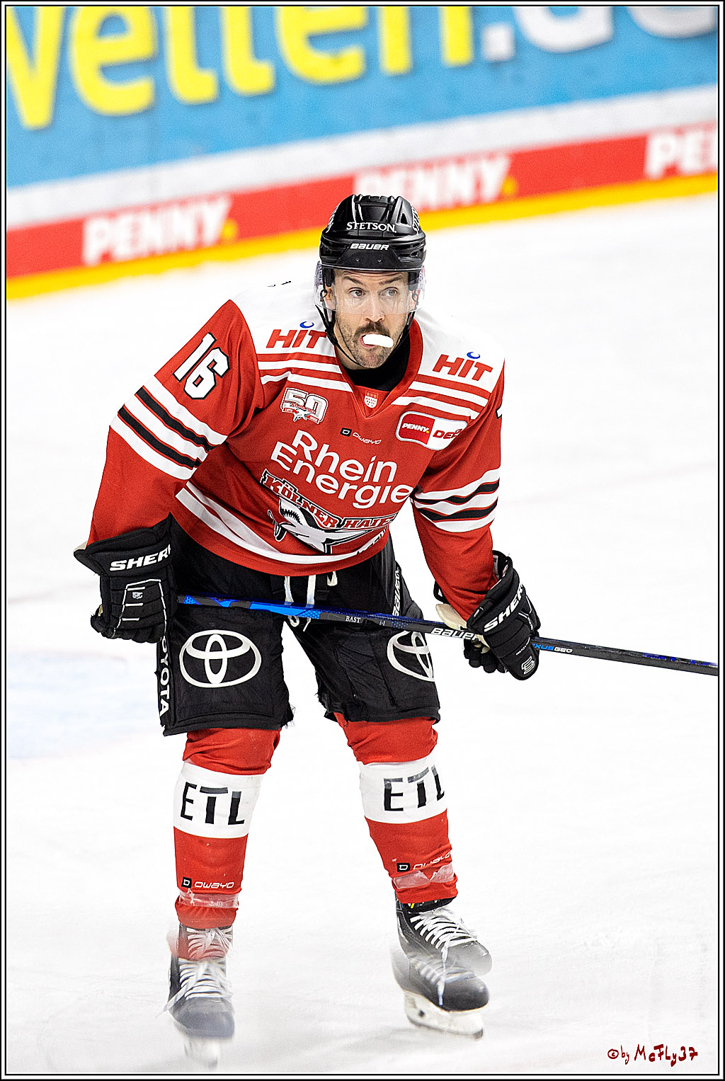 PENNY DEL;  Kölner Haie - EHC Red Bull München; Köln, 08.11.2022